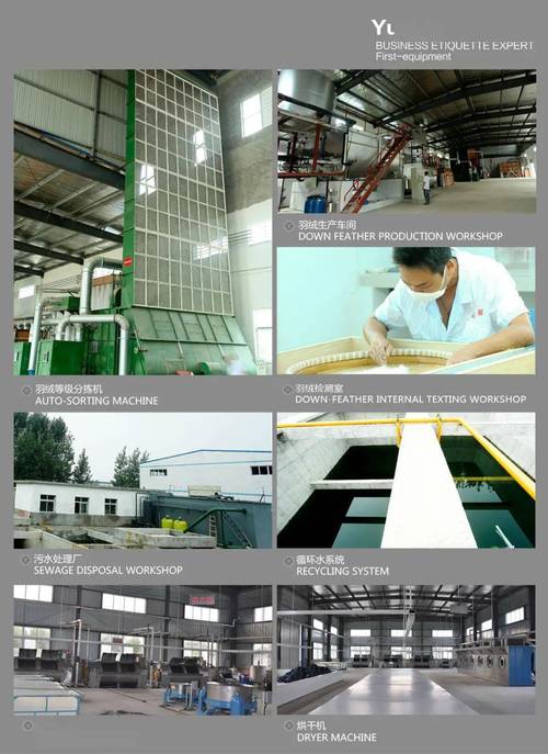 股份成立于2006年12月,是一家集产品加工,产品开发,品牌策划